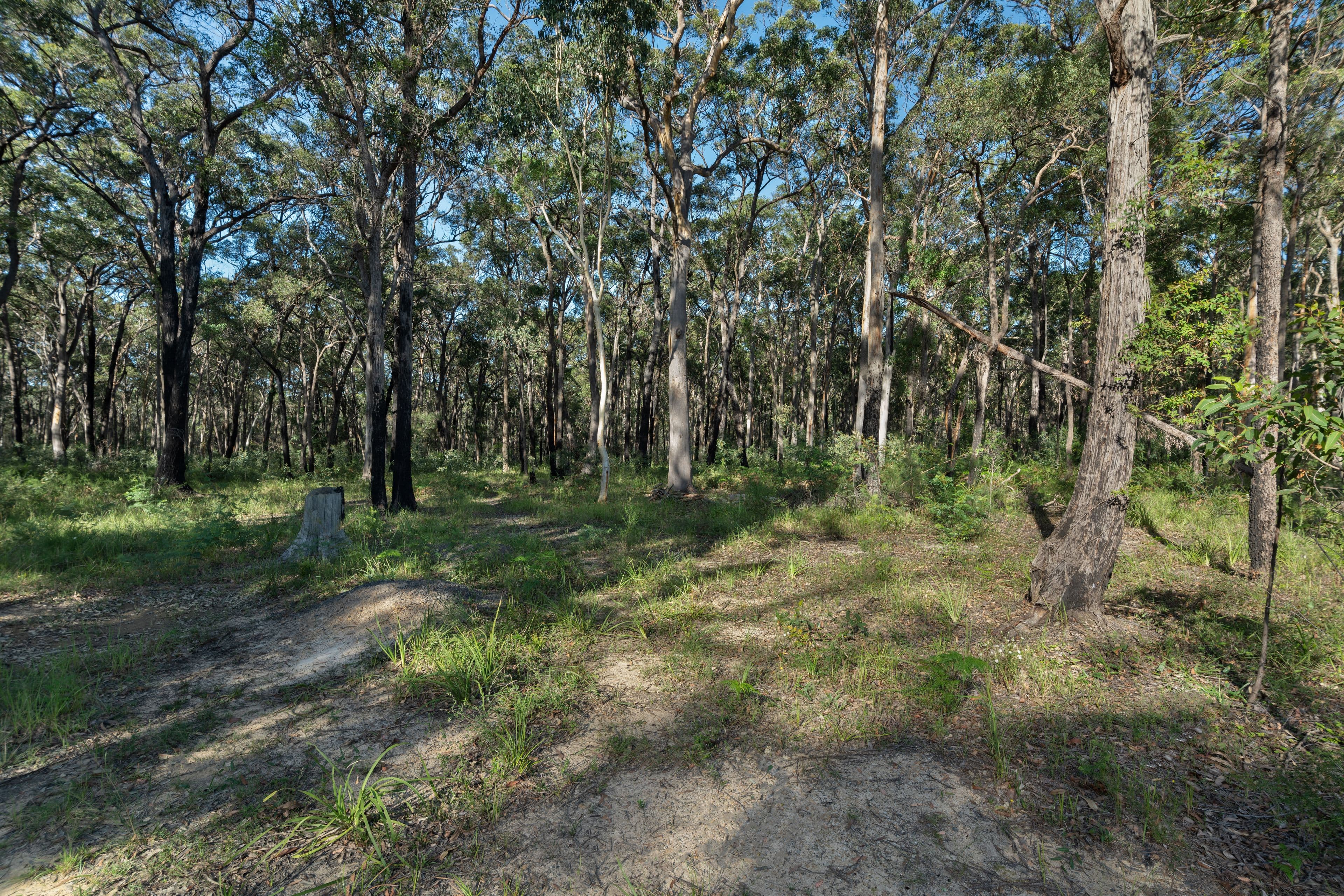 Lot 8 Sheaffe Street, Callala Bay NSW 2540, Callala Bay - Thumbnail 6