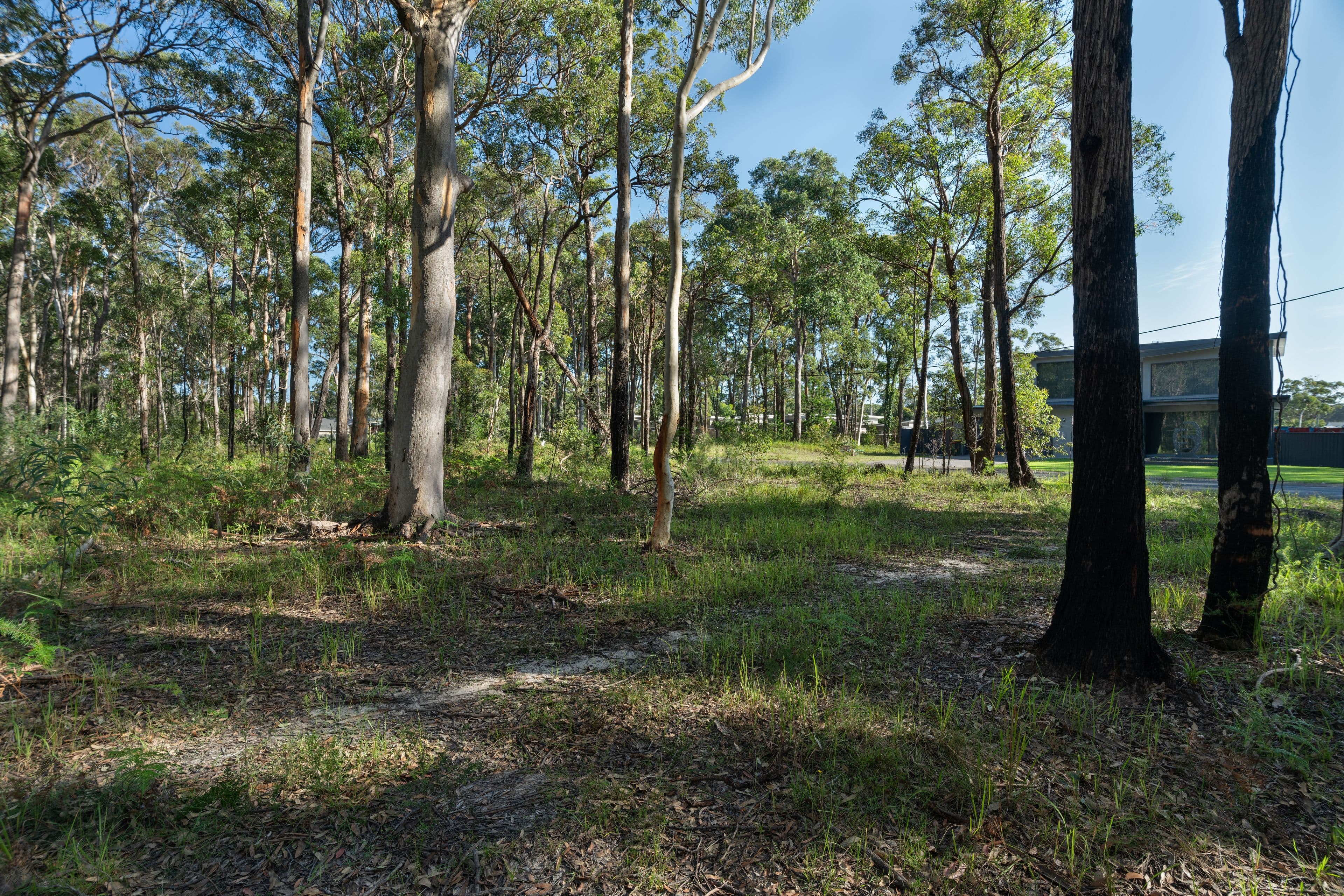 Lot 8 Sheaffe Street, Callala Bay NSW 2540, Callala Bay - Thumbnail 8
