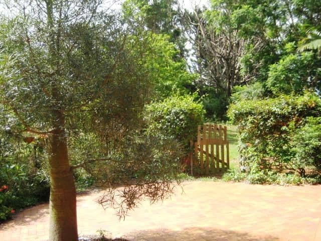 74 West Road, NORTH TAMBORINE QLD 4272, Tamborine - Thumbnail 3