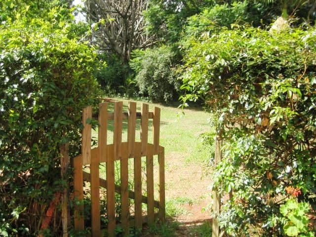 74 West Road, NORTH TAMBORINE QLD 4272, Tamborine - Thumbnail 4