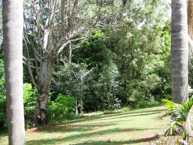 74 West Road, NORTH TAMBORINE QLD 4272, Tamborine - Thumbnail 8
