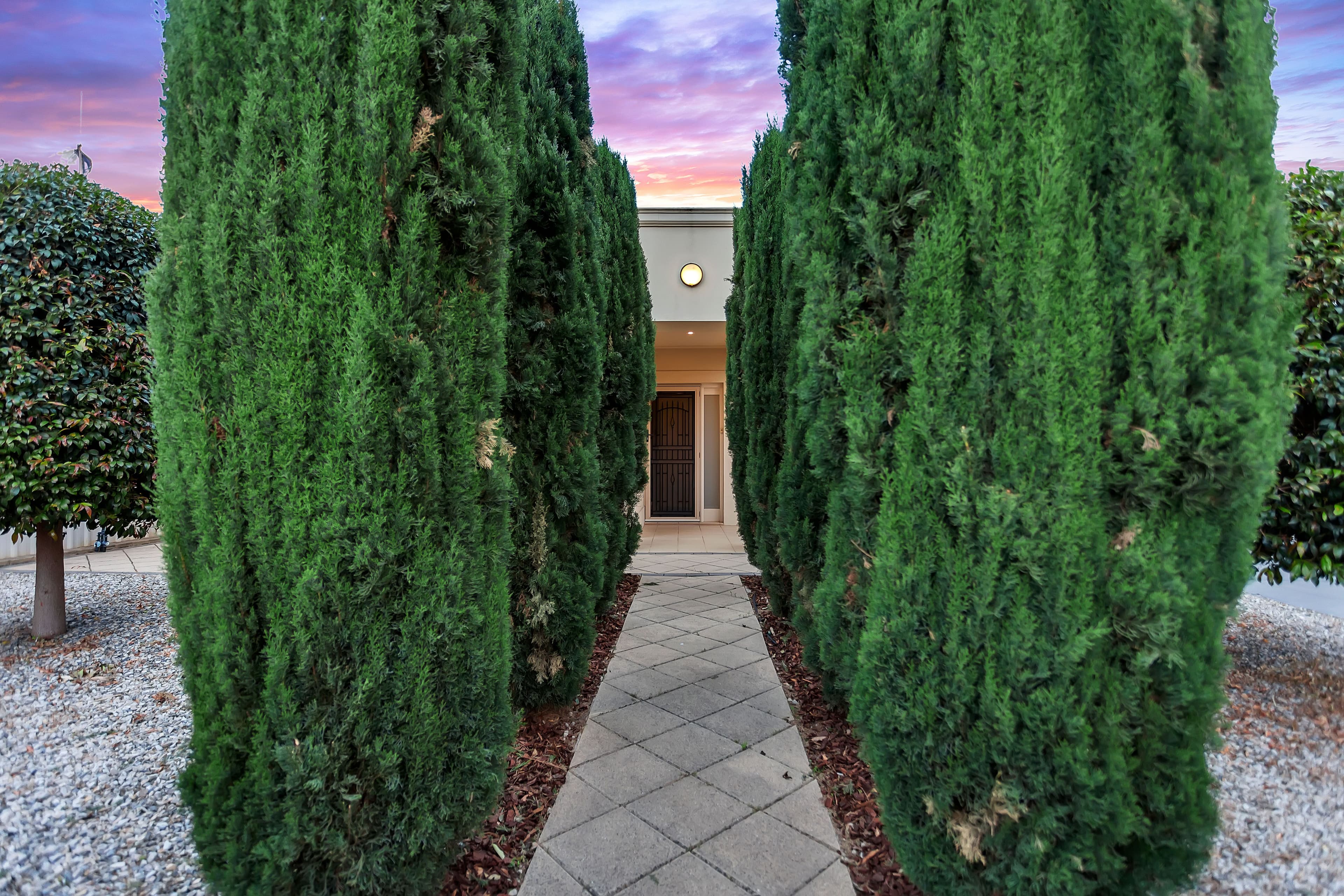 33 Chapel Street, Campbelltown SA 5074, Campbelltown - Thumbnail 2