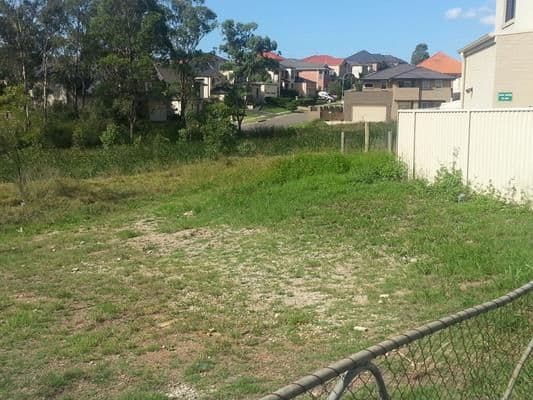 99 Chepstow Drive, CASTLE HILL NSW 2154, Castle Hill - Thumbnail 3