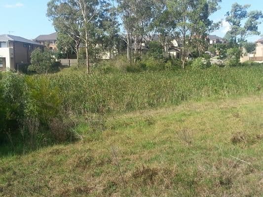 99 Chepstow Drive, CASTLE HILL NSW 2154, Castle Hill - Thumbnail 5
