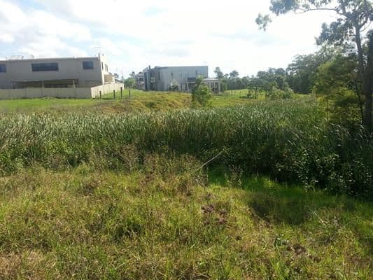 99 Chepstow Drive, CASTLE HILL NSW 2154, Castle Hill - Thumbnail 6
