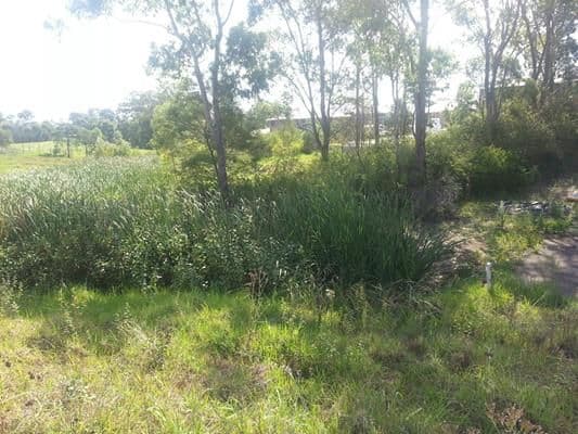 99 Chepstow Drive, CASTLE HILL NSW 2154, Castle Hill - Thumbnail 7