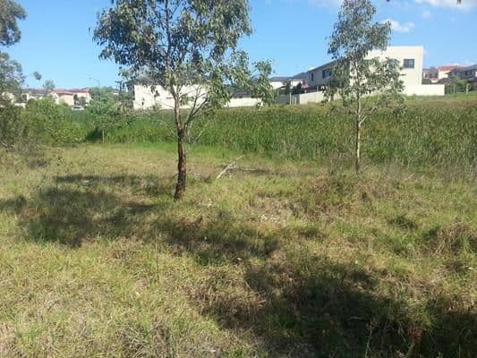 99 Chepstow Drive, CASTLE HILL NSW 2154, Castle Hill - Thumbnail 8