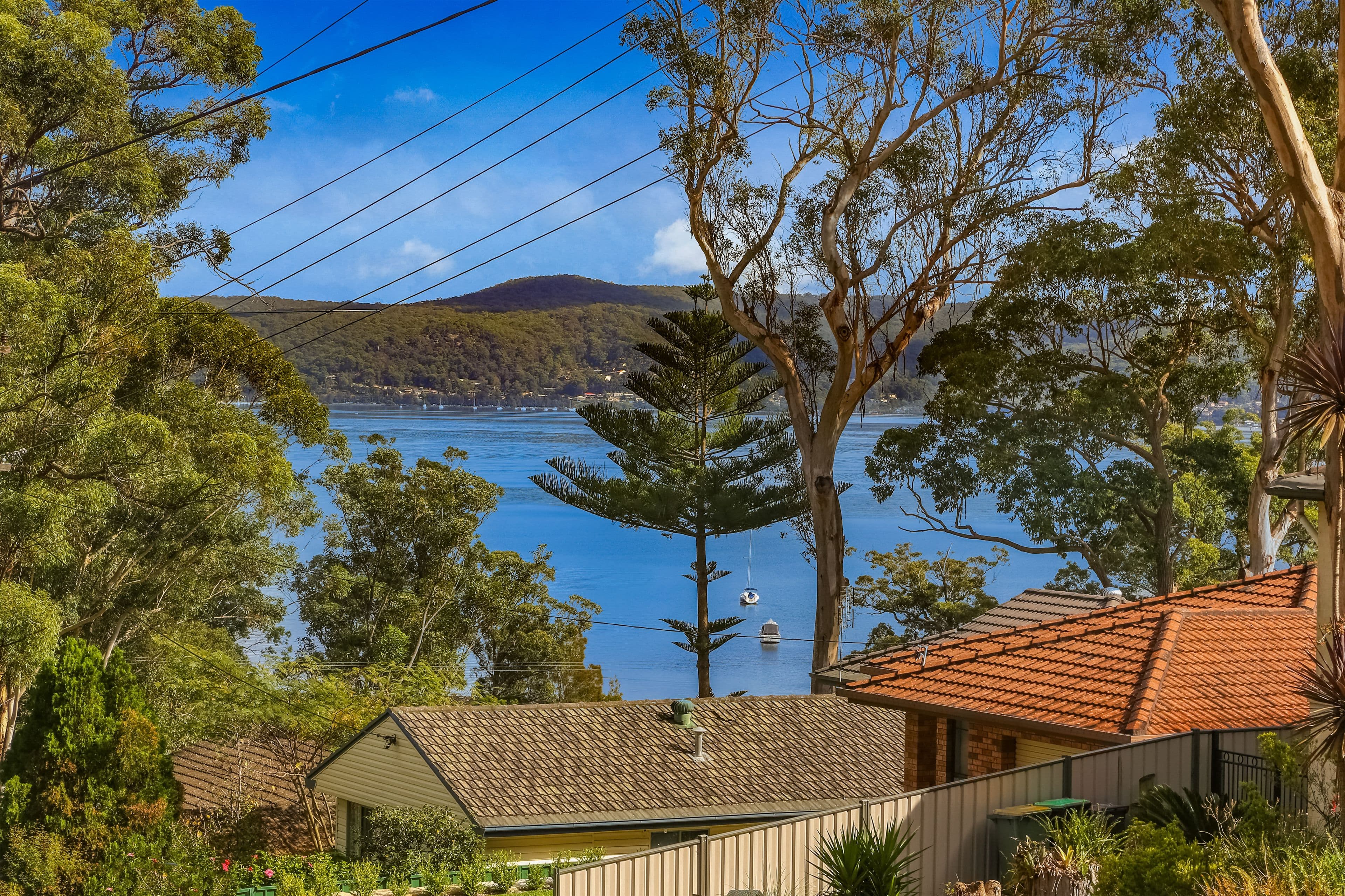 16 Elvys Avenue, Saratoga NSW 2251, Saratoga - Thumbnail 2