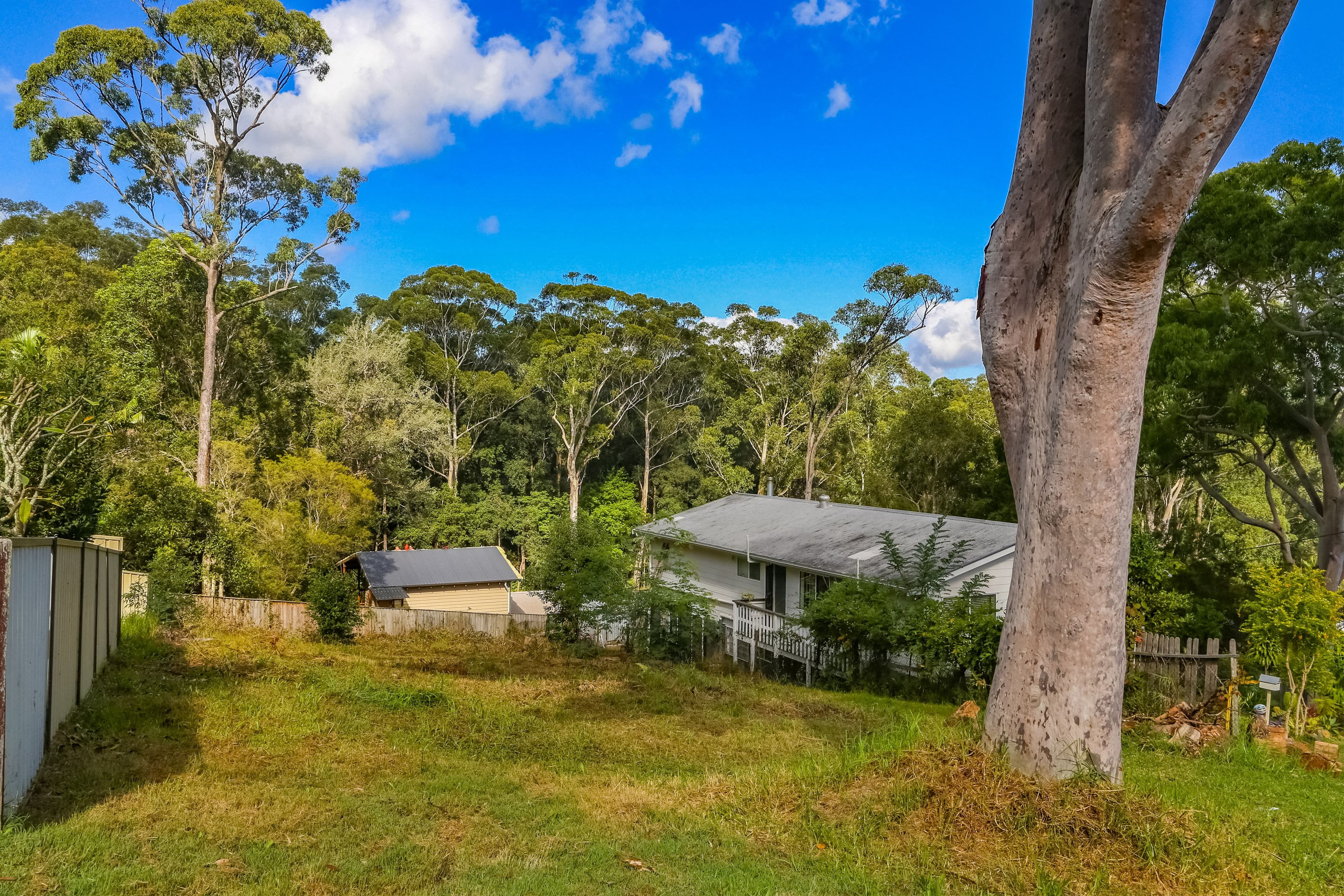 16 Elvys Avenue, Saratoga NSW 2251, Saratoga - Thumbnail 4