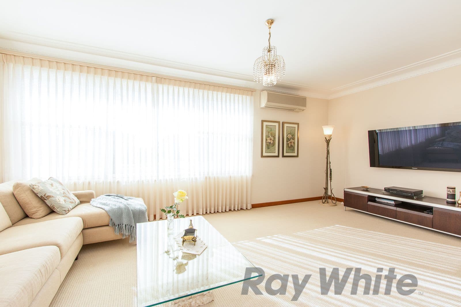 68 Madison Drive, Adamstown Heights - Thumbnail 2