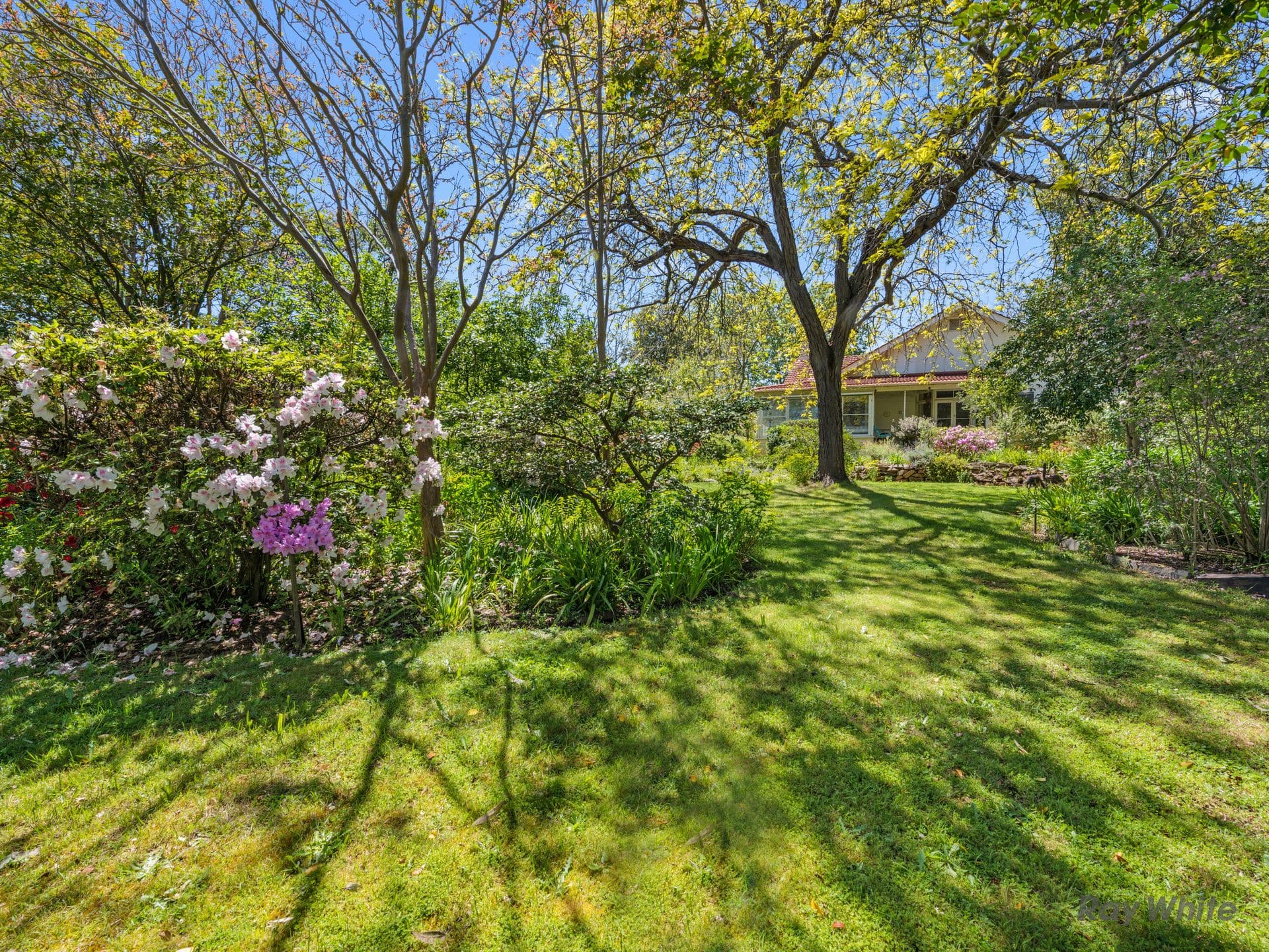 18 Mitchell Street, Benalla VIC 3672, Benalla - Thumbnail 8