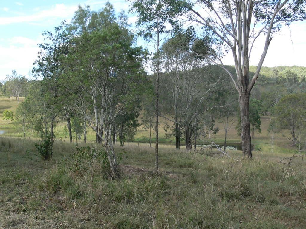 BIARRA QLD 4313, Biarra - Thumbnail 6