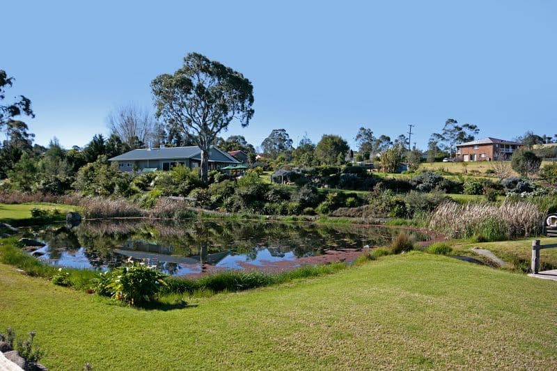 89 Croobyar Road, MILTON NSW 2538, Milton - Thumbnail 5