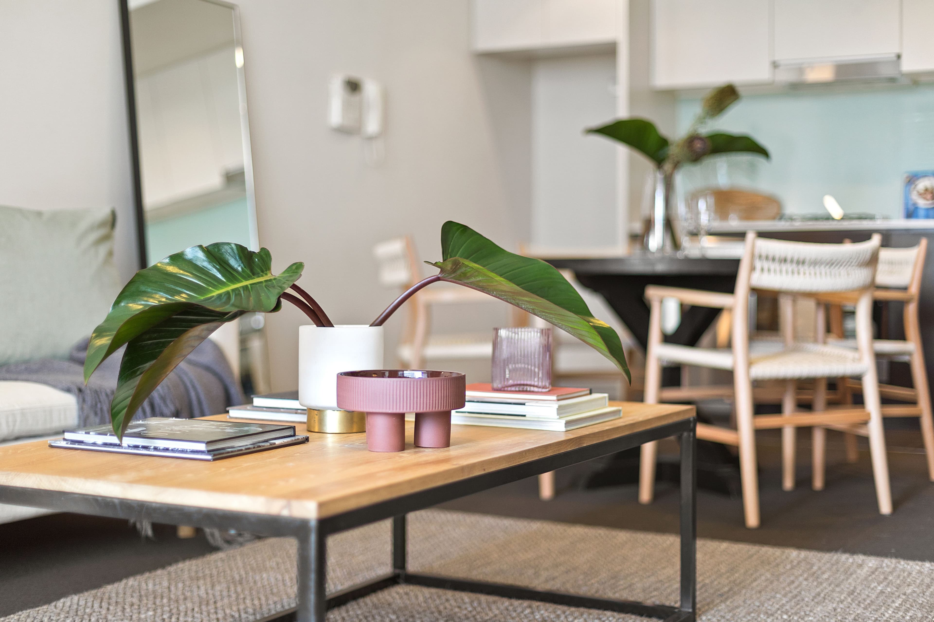 1 Retreat Street, Alexandria NSW 2015, Alexandria - Thumbnail 7