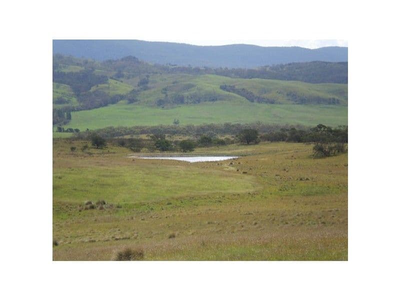 159 Harts Road - Krawarree, Braidwood NSW 2622, Braidwood - Thumbnail 4