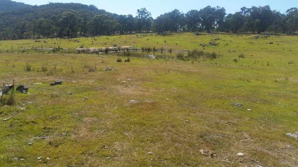 159 Harts Road - Krawarree, Braidwood NSW 2622, Braidwood - Thumbnail 6