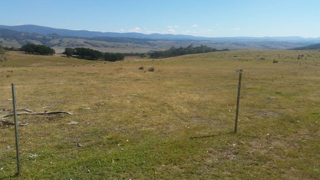 159 Harts Road - Krawarree, Braidwood NSW 2622, Braidwood - Thumbnail 7