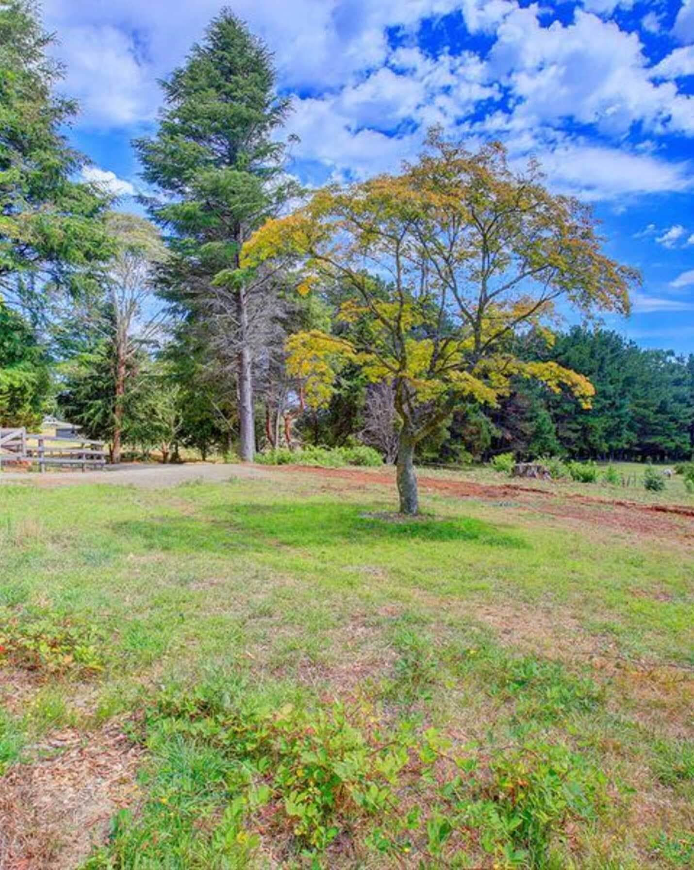 5370 Illawarra Highway Burrawang, Burrawang - Thumbnail 4