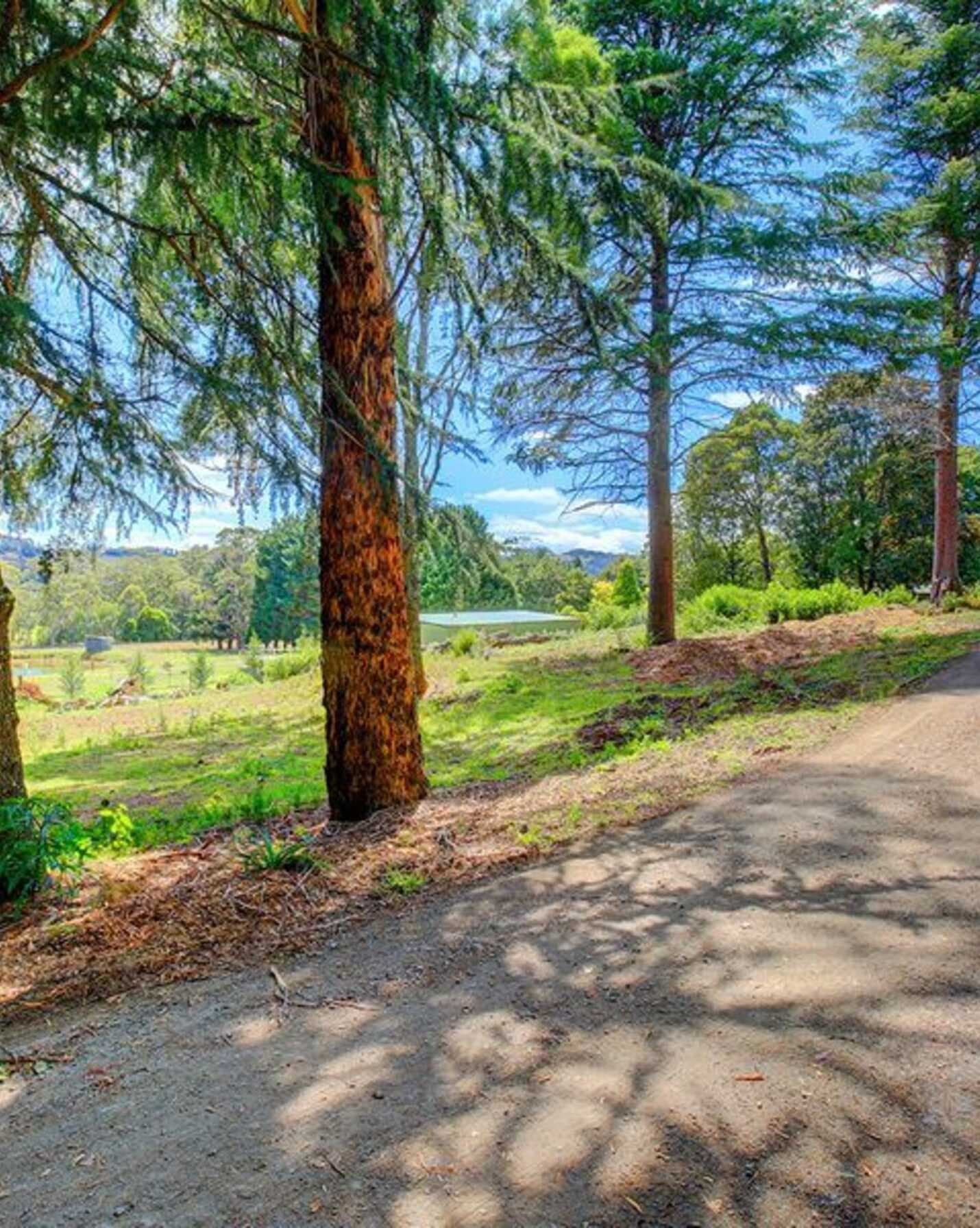 5370 Illawarra Highway Burrawang, Burrawang - Thumbnail 6