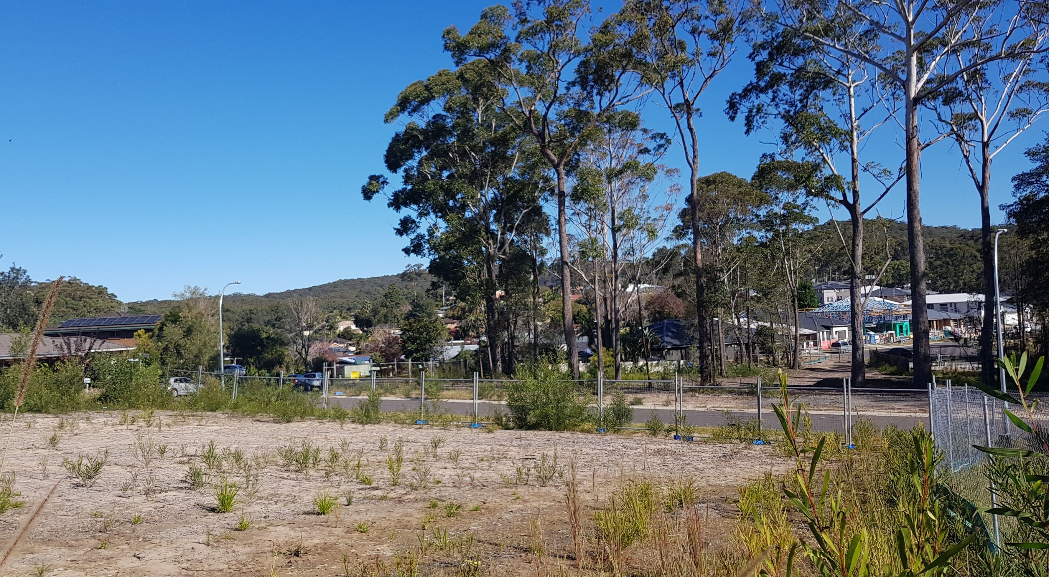 3 Butternut Avenue, Berkeley Vale NSW 2261, Berkeley Vale - Thumbnail 3