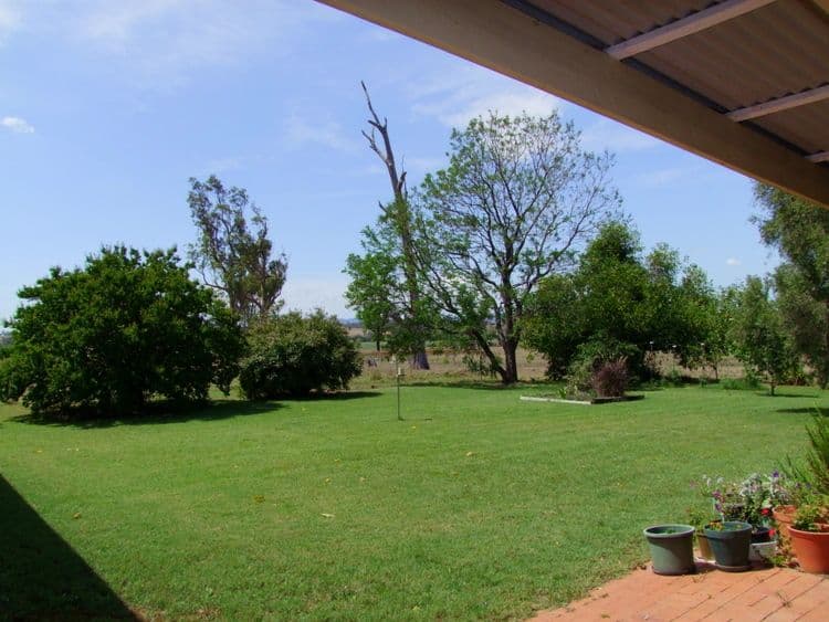609A Hambledon Hill Road, Singleton NSW 2330, Singleton - Thumbnail 4