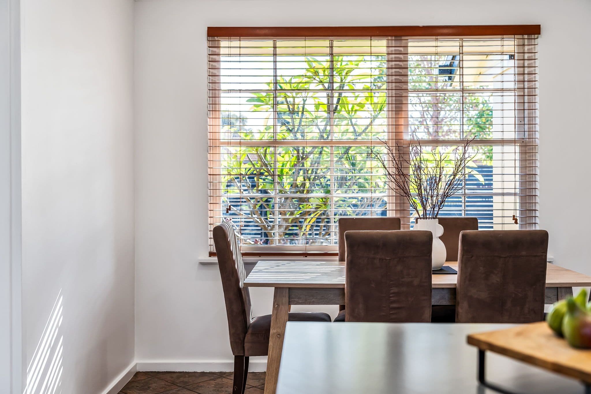 66 Catalina Avenue, Parafield Gardens SA 5107, Parafield Gardens - Thumbnail 6
