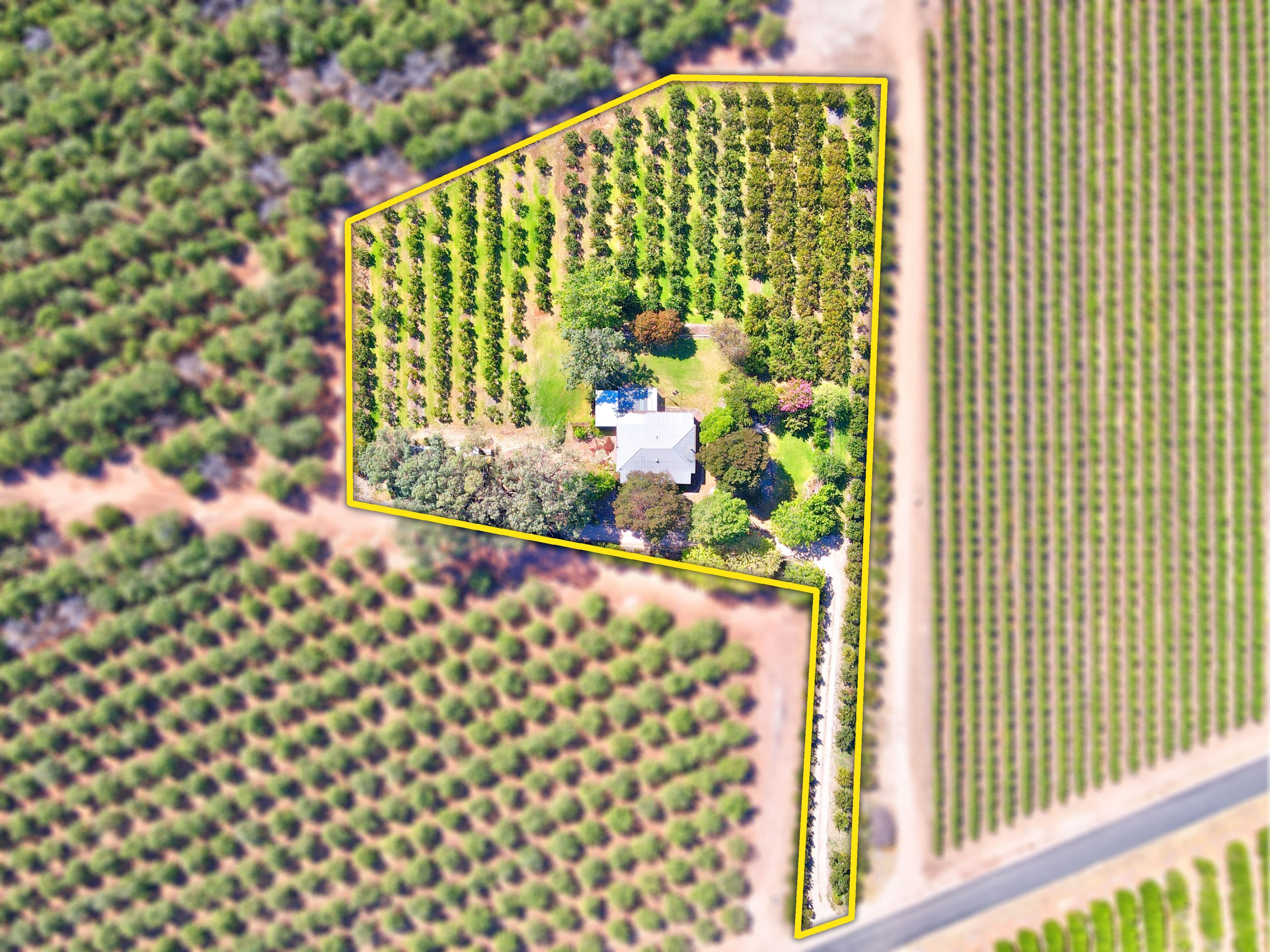 77 Chowilla Street, Renmark SA 5341, Renmark West - Thumbnail 2