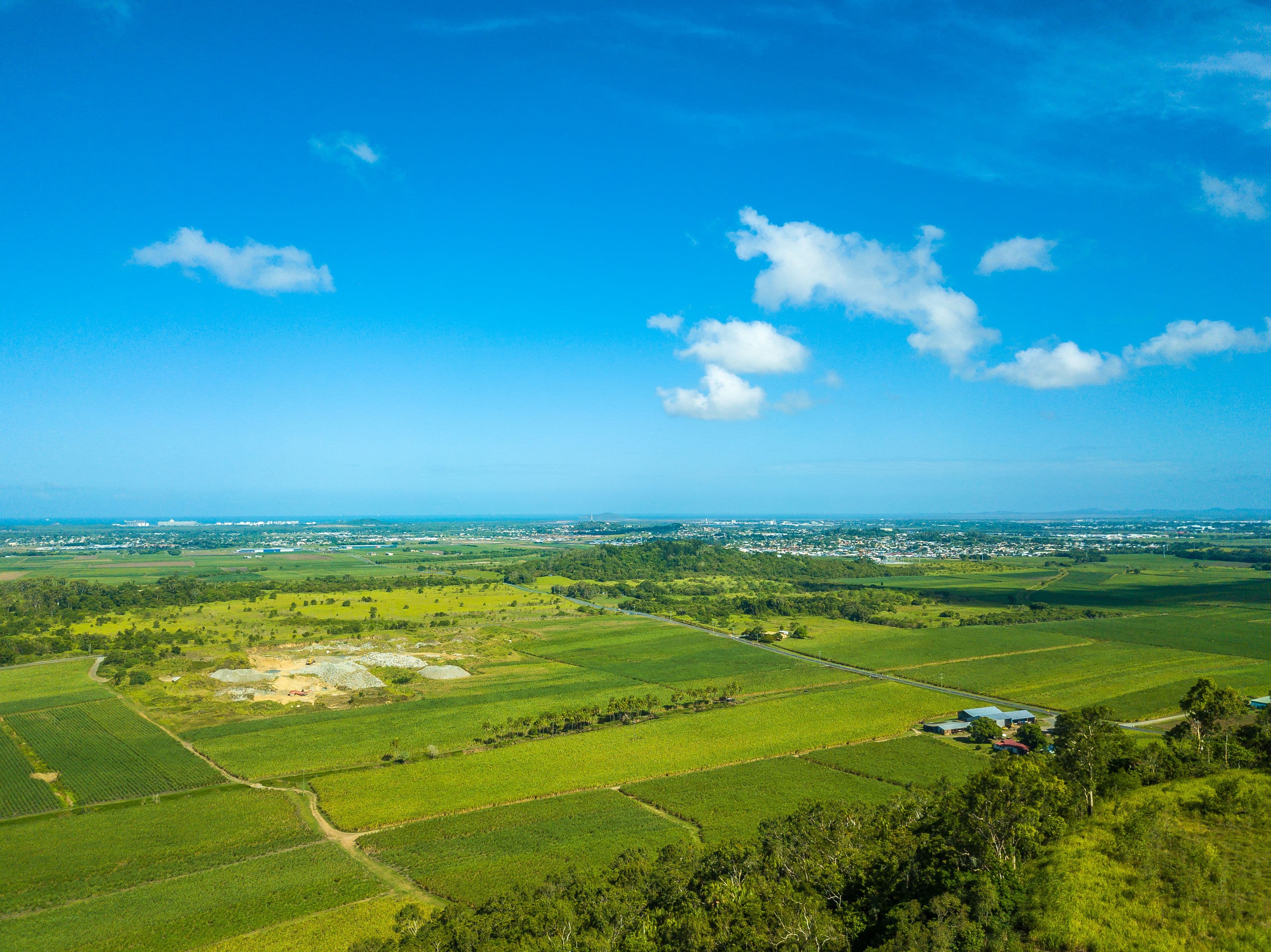 58 Palm Ridge Drive, Richmond QLD 4740, Richmond - Thumbnail 4