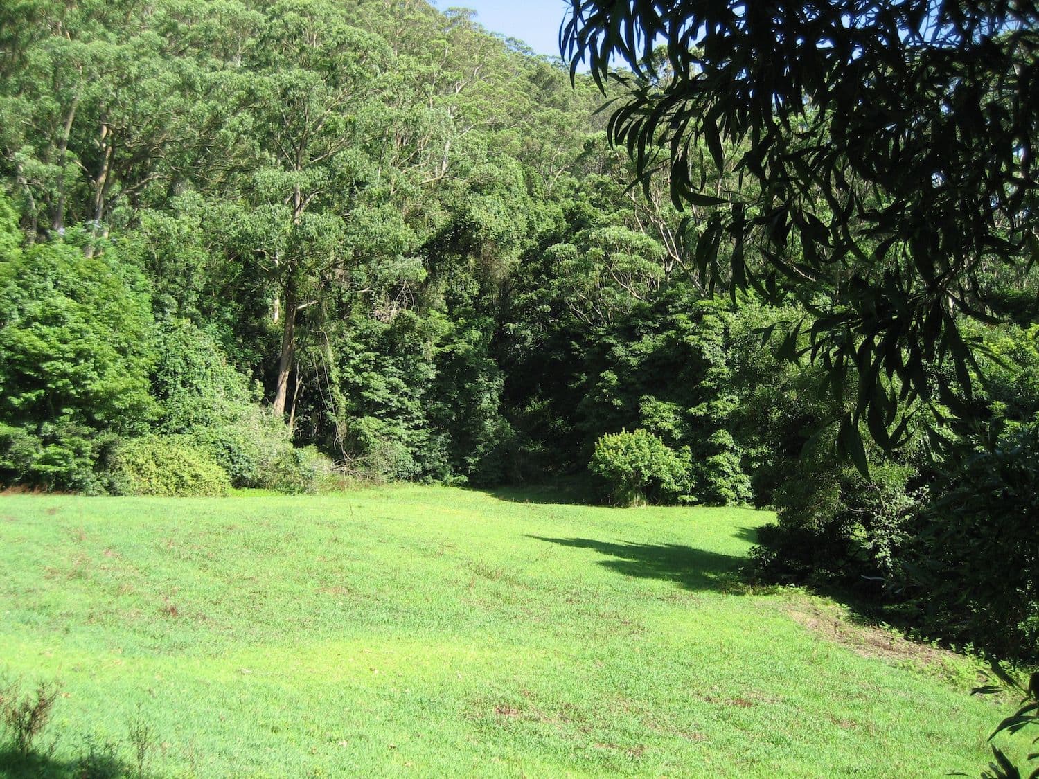 1150 Moss Vale Road, Beaumont - Thumbnail 8