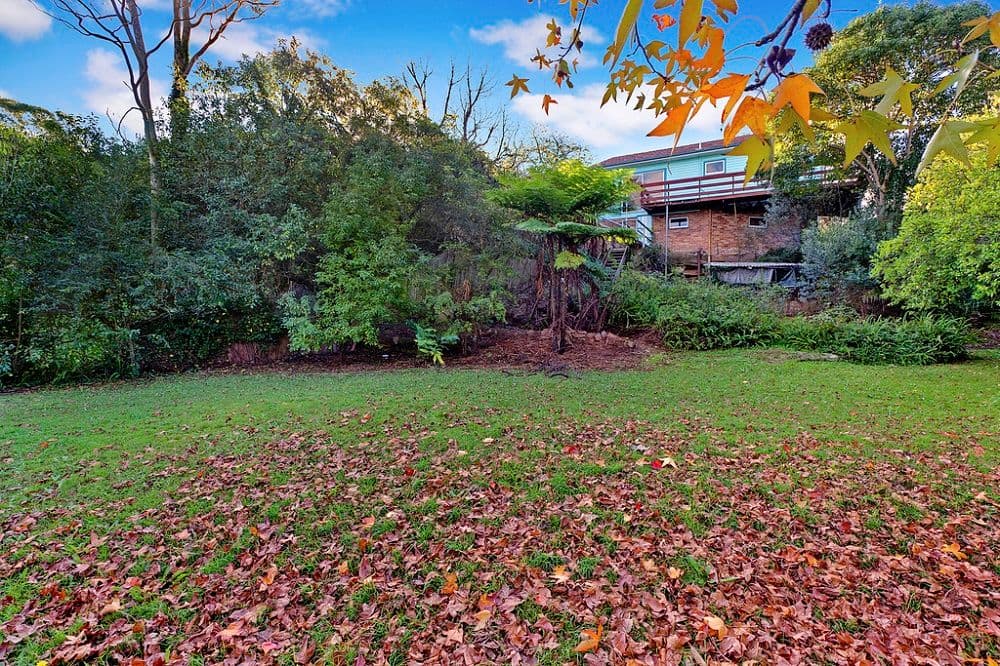 11 Arthur Street, FORESTVILLE NSW 2087, Forestville - Thumbnail 6