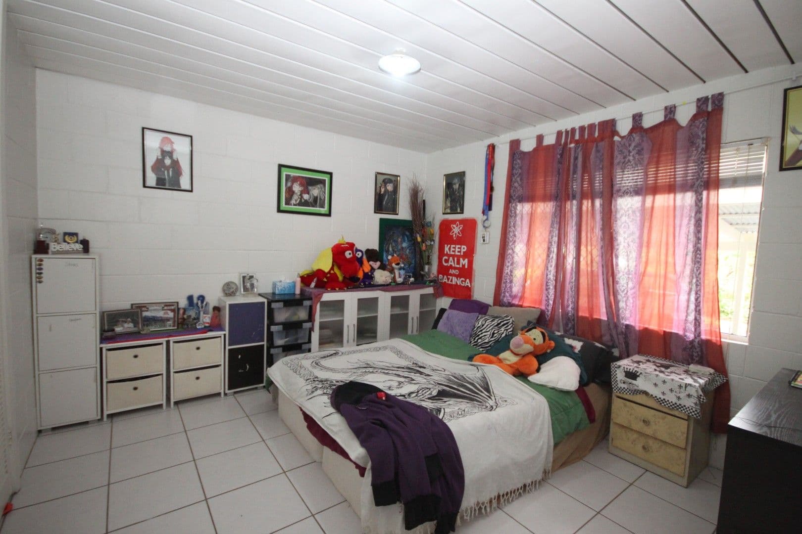 28 Kauri Street, Cooroy QLD 4563, Cooroy - Thumbnail 4