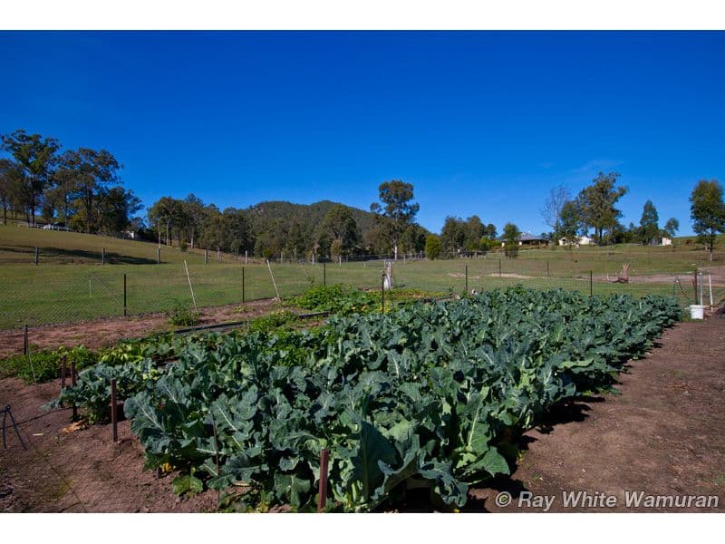 SANDY CREEK QLD 4515, Sandy Creek - Thumbnail 7