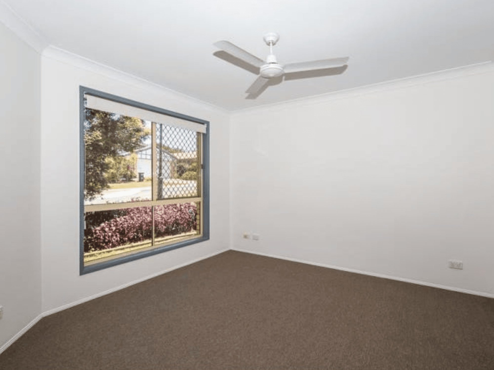 12 Hilltop Place, Banyo QLD 4014, Banyo - Thumbnail 2