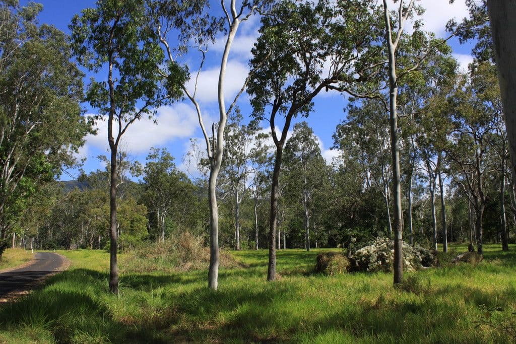 Lot 73 Jim Weir Road, Julatten QLD 4871, Julatten - Thumbnail 3