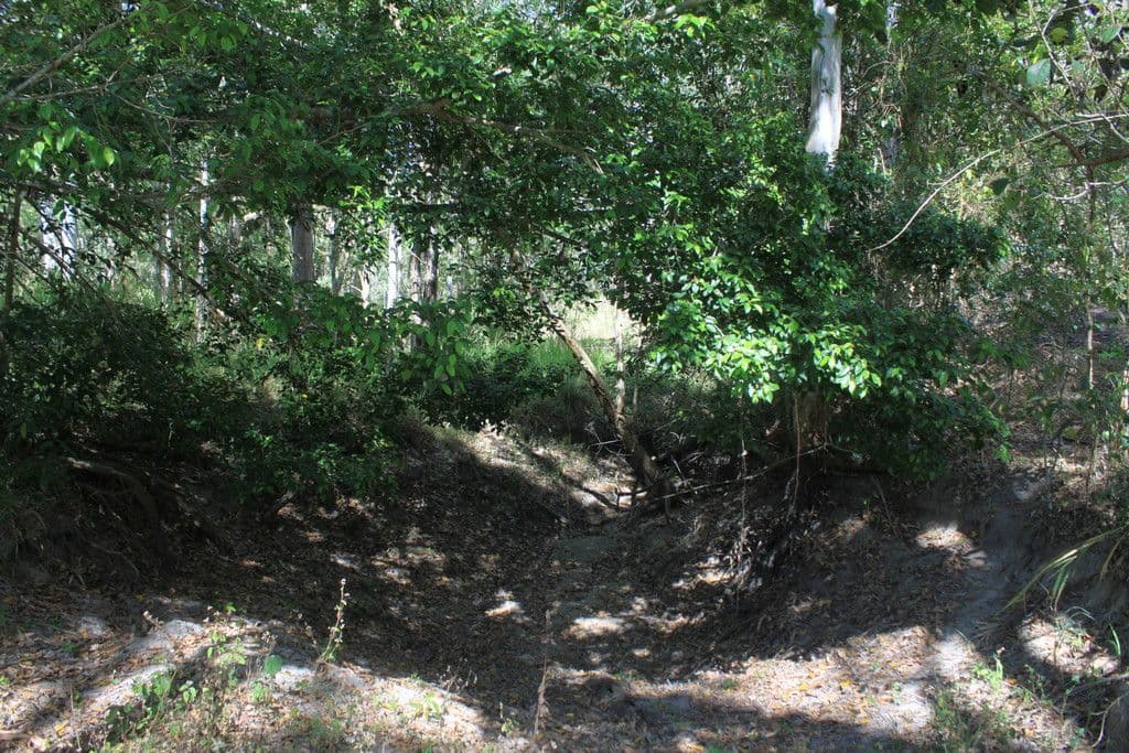 Lot 73 Jim Weir Road, Julatten QLD 4871, Julatten - Thumbnail 4