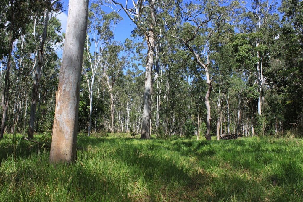 Lot 73 Jim Weir Road, Julatten QLD 4871, Julatten - Thumbnail 5