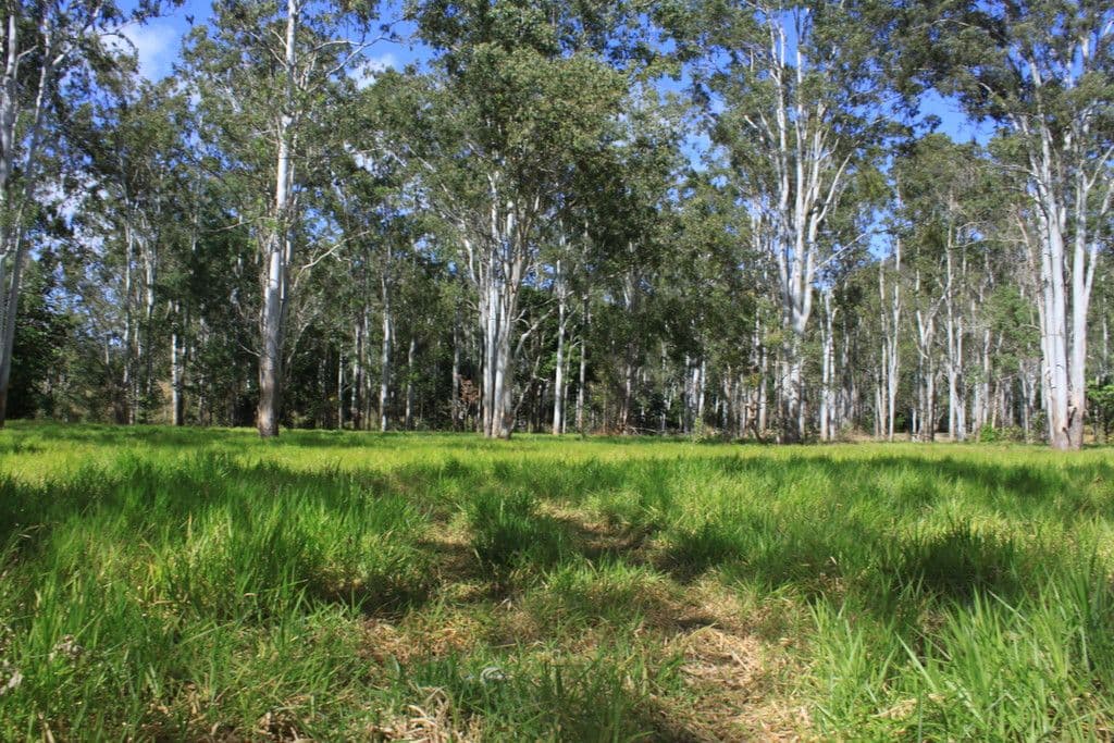 Lot 73 Jim Weir Road, Julatten QLD 4871, Julatten - Thumbnail 6