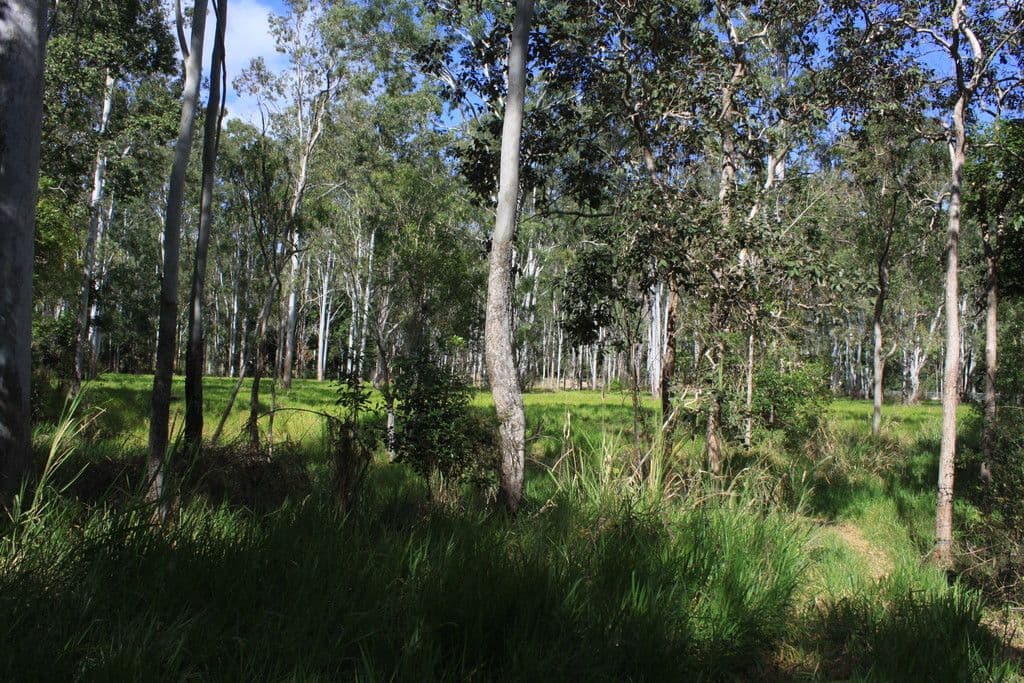 Lot 73 Jim Weir Road, Julatten QLD 4871, Julatten - Thumbnail 7