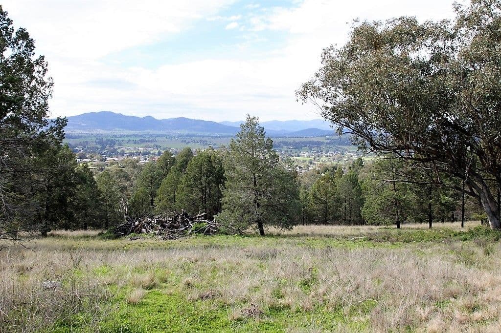 Lot 51 Ray Carter Drive, Quirindi NSW 2343, Quirindi - Thumbnail 2