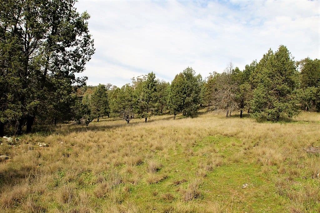 Lot 51 Ray Carter Drive, Quirindi NSW 2343, Quirindi - Thumbnail 3
