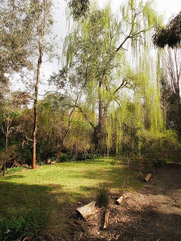 42 Settlers Circuit, Mount Cotton, QLD, 4165, Mount Cotton - Thumbnail 2