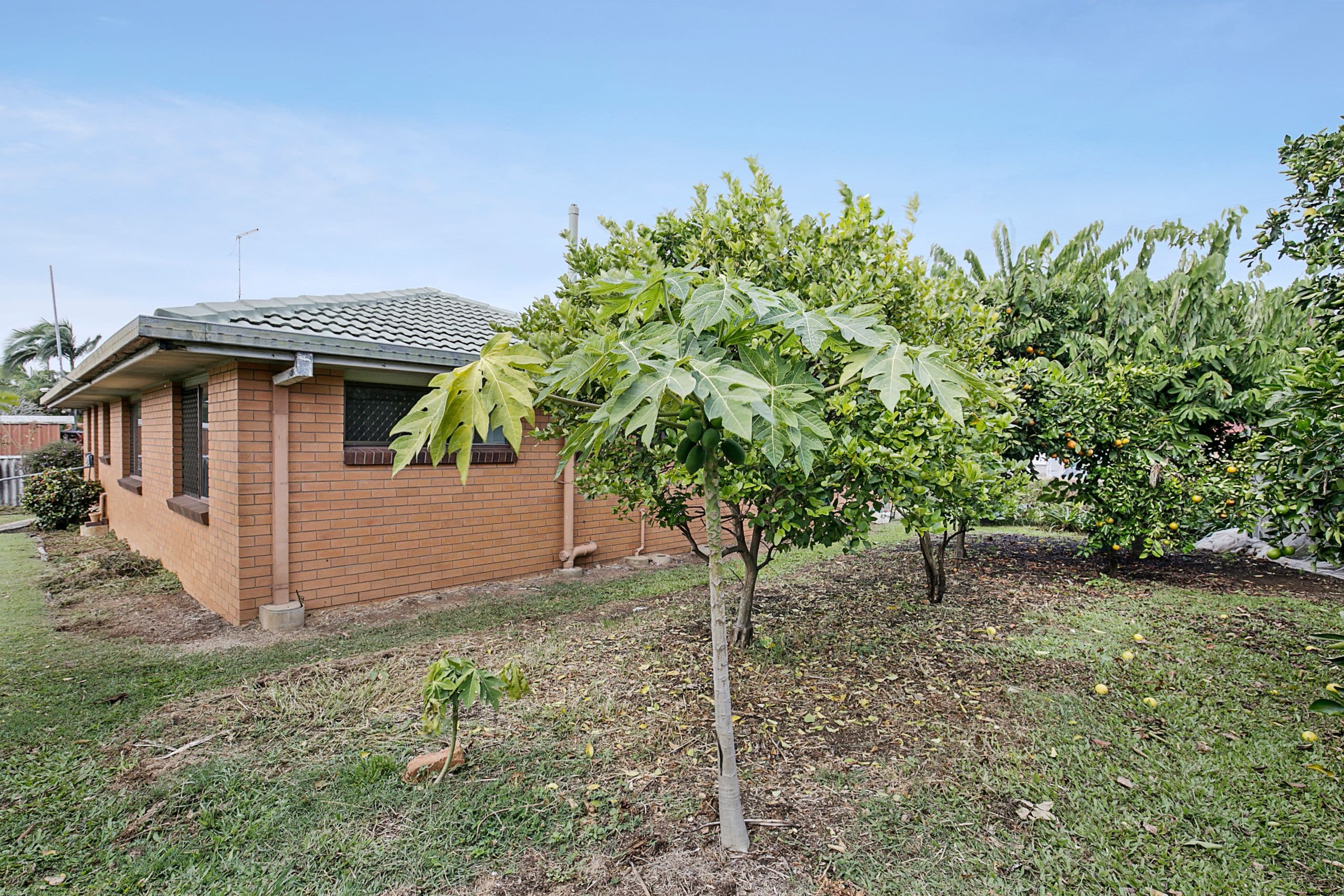 18 Tarcutta Street, Cleveland QLD 4163, Cleveland - Thumbnail 8