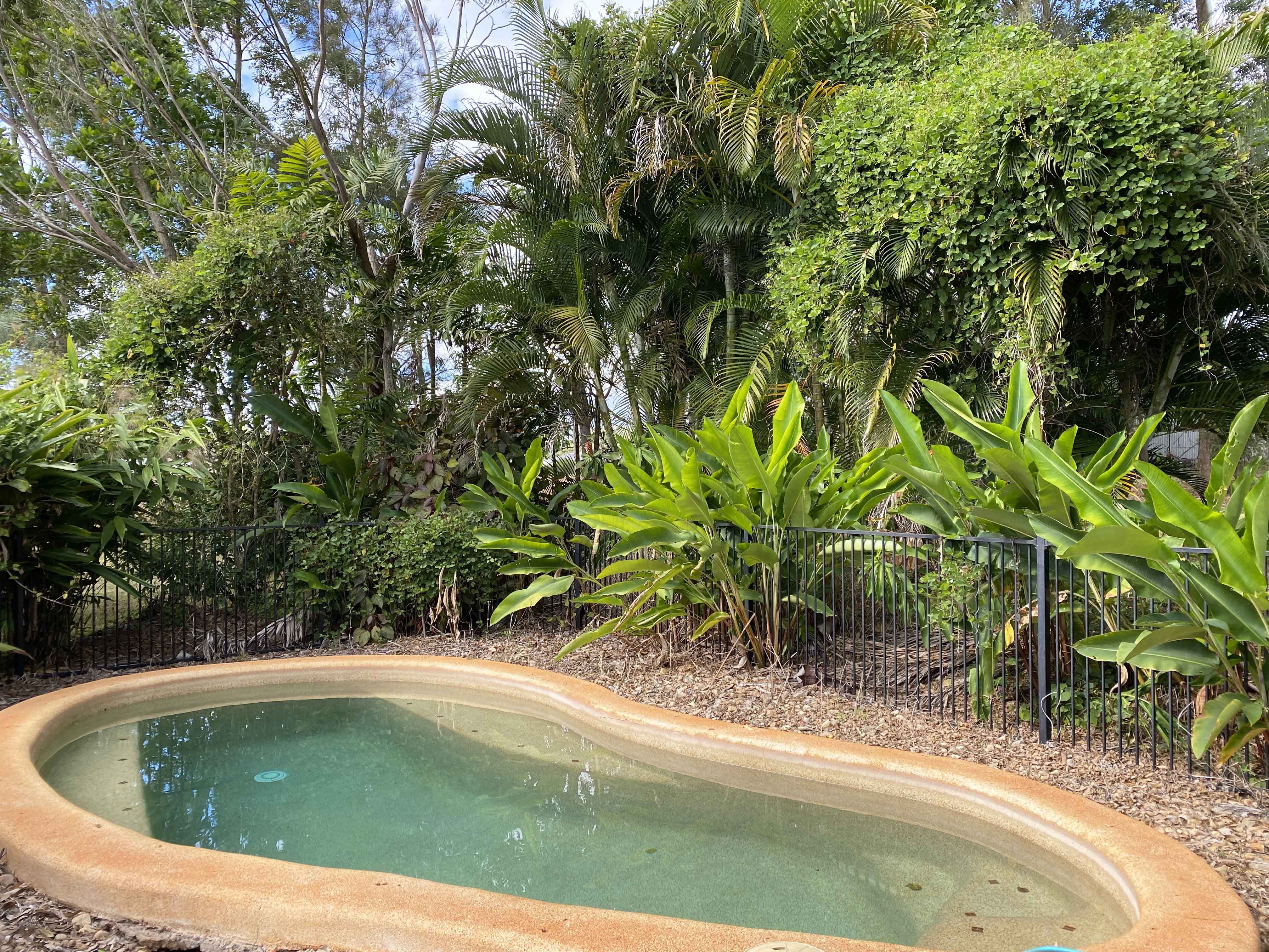 34A Palomino Avenue, Tolga QLD 4882, Tolga - Thumbnail 3