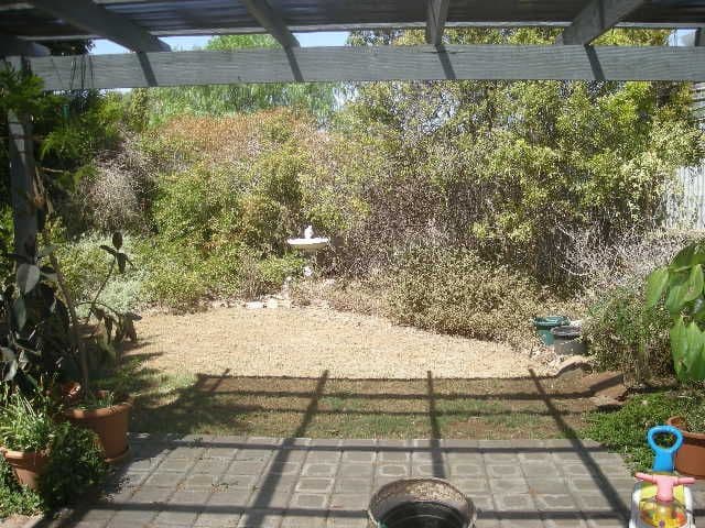 10 Chelmsford Grove, ANDREWS FARM SA 5114, Andrews Farm - Thumbnail 3