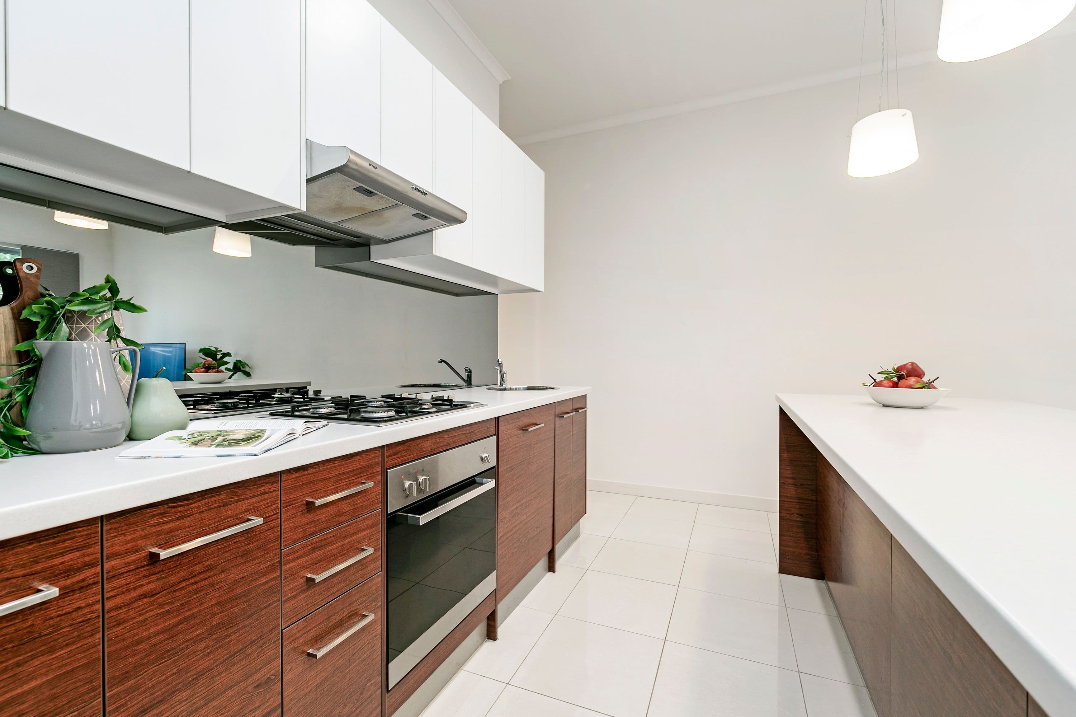 19 Clyde Road, Lightsview SA 5085, Lightsview - Image 1