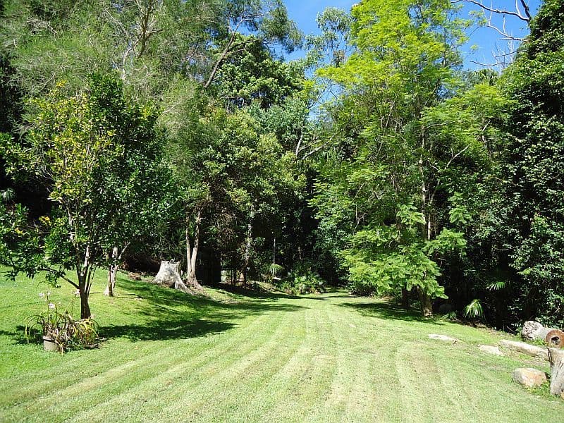 98 Blackbutt Street, WYOMING NSW 2250, Wyoming - Thumbnail 2