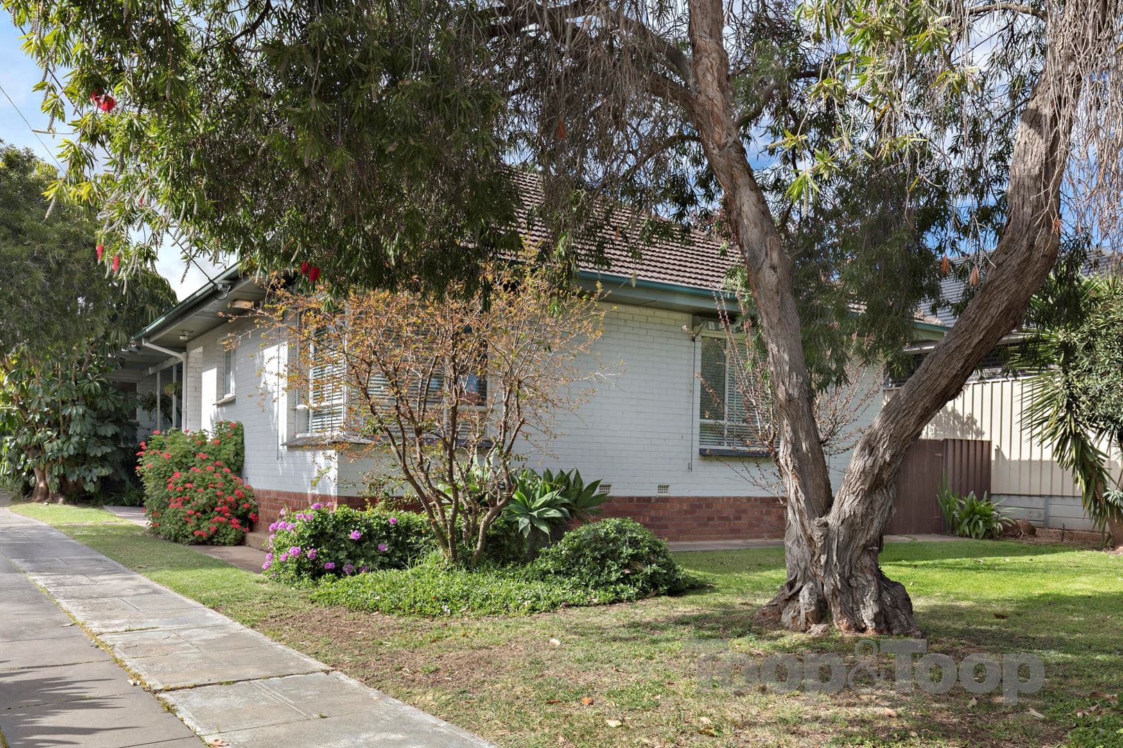 4 Blanden Avenue, Marden SA 5070, Marden - Thumbnail 2