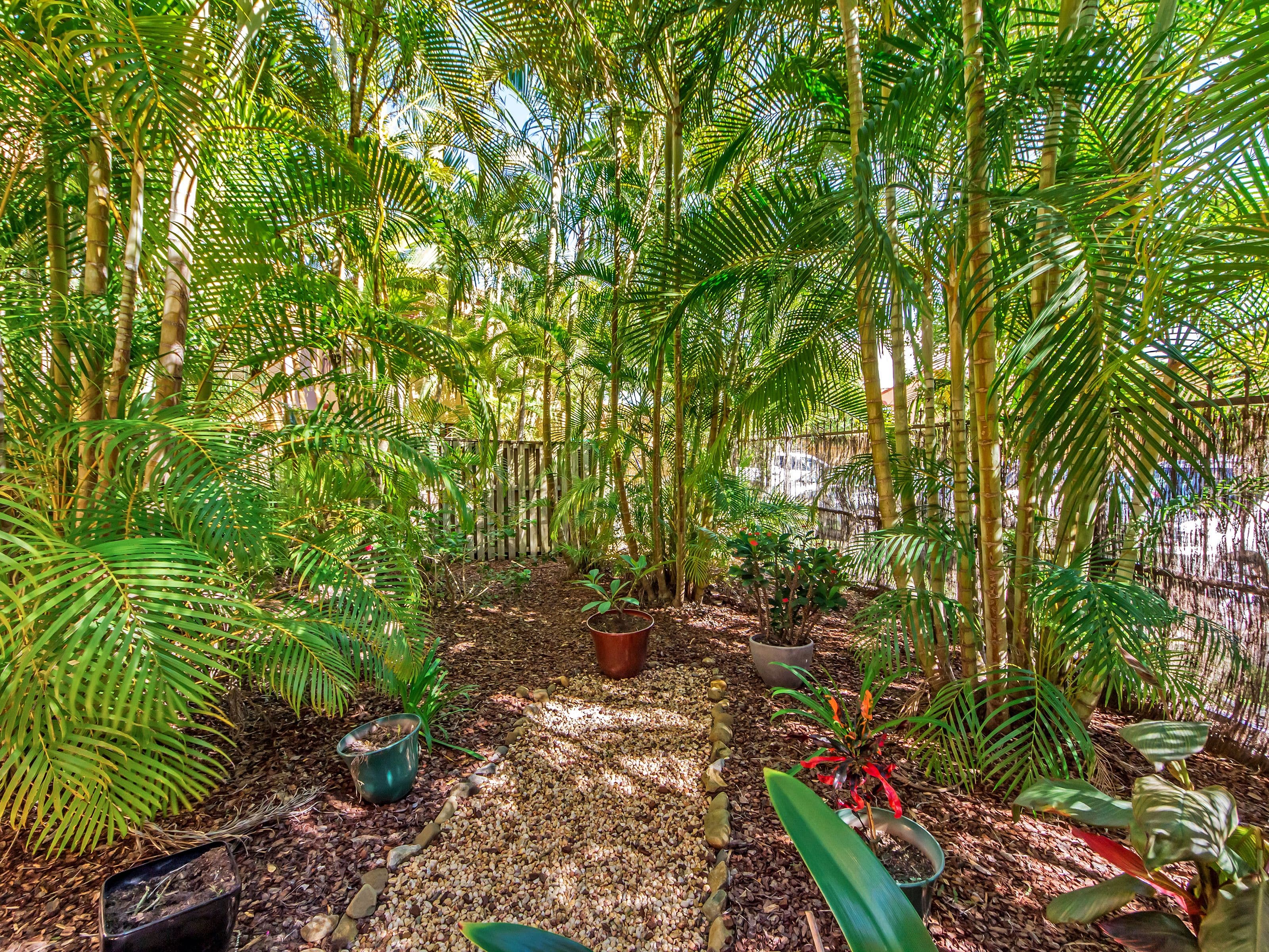 58 Malvern Street, Panania NSW 2213, Panania - Thumbnail 6
