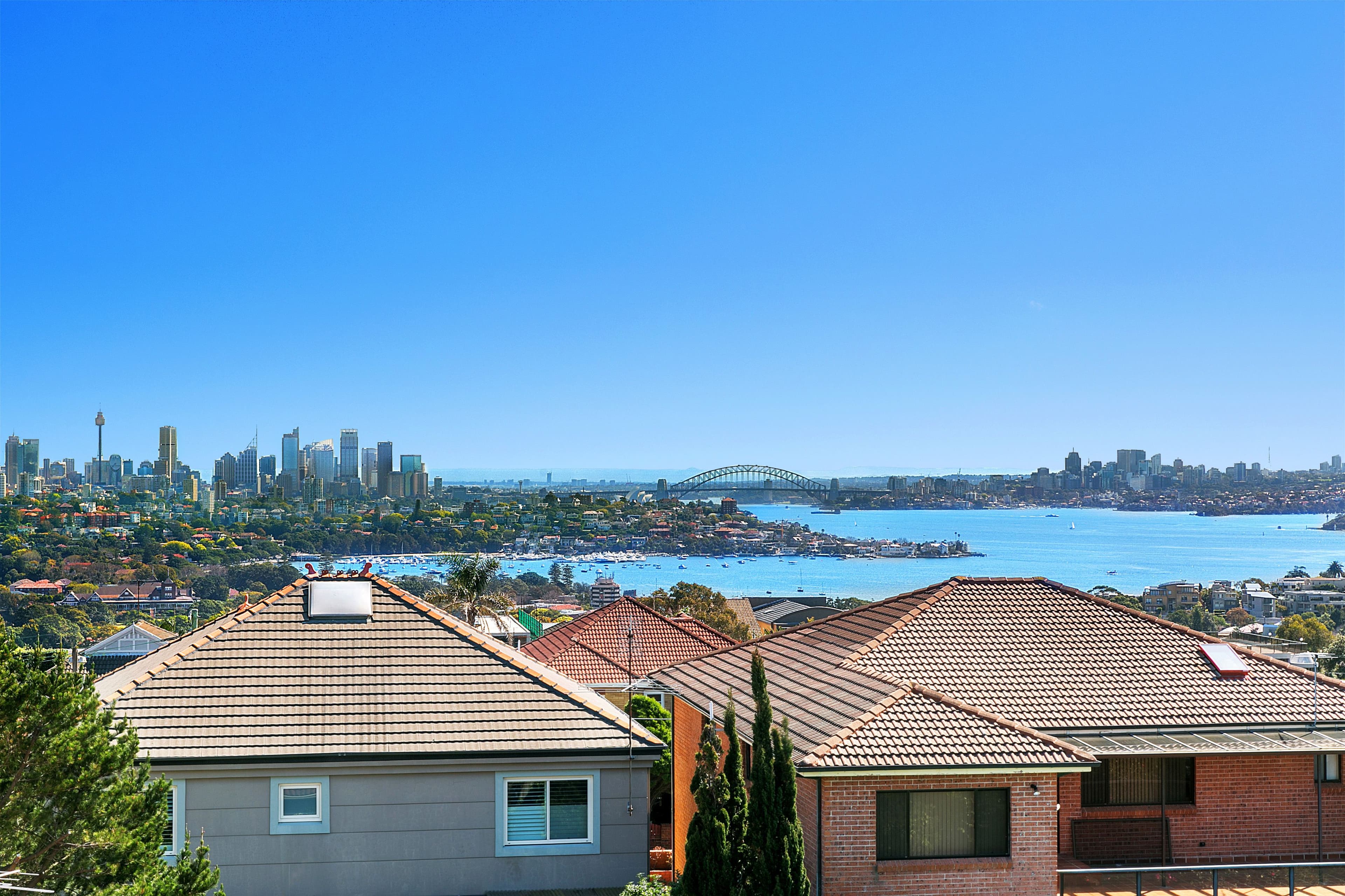35 Napier Street, Dover Heights - Thumbnail 4