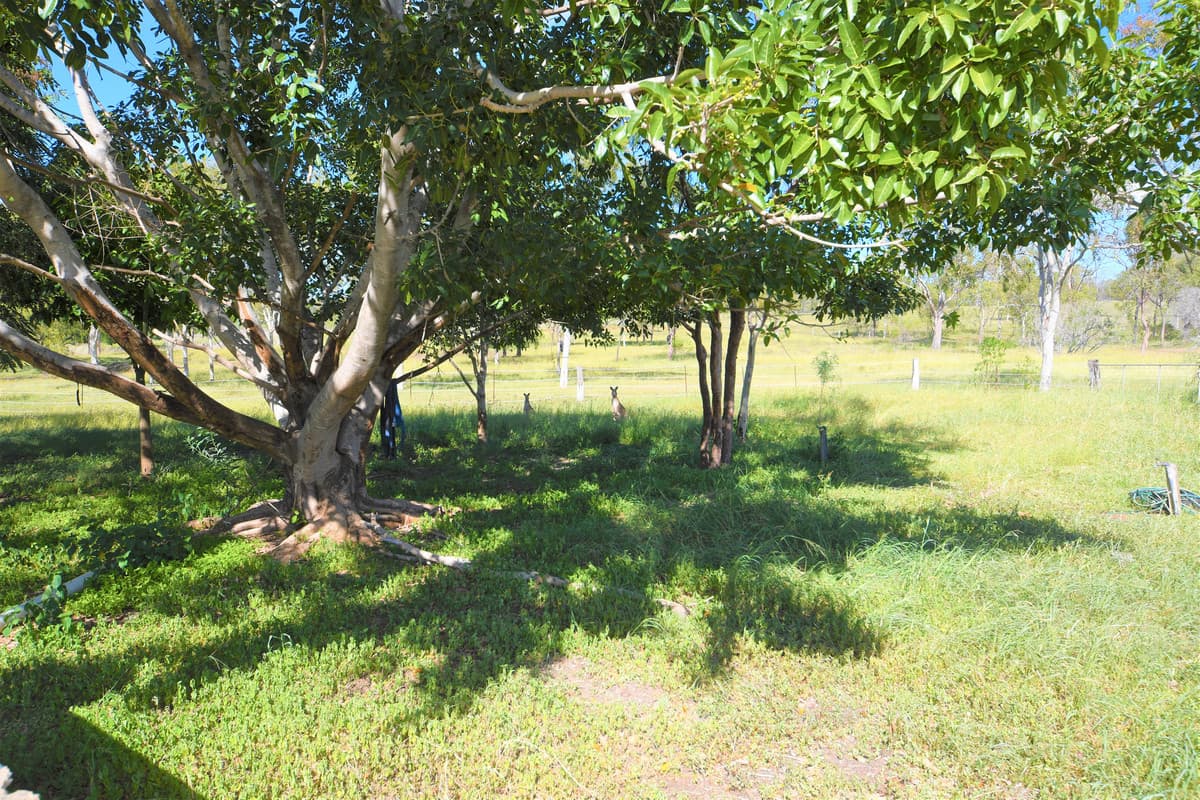 46 Meteor Park Road, Kabra, Kabra - Image 1